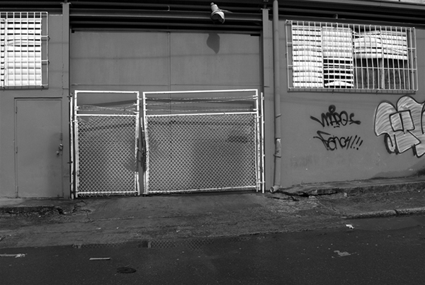 fence